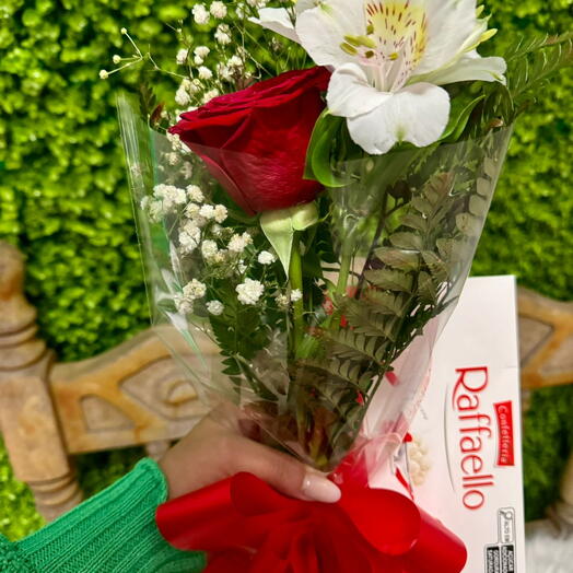 Mimo - Flor e Rafaello
