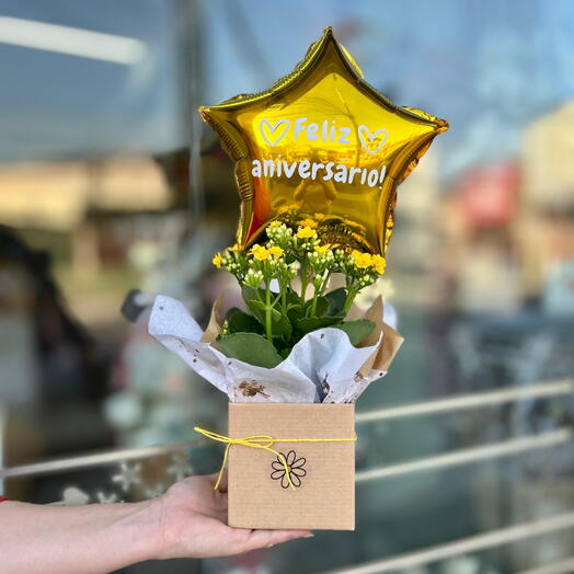 KALANCHOE COM BALÃO FELIZ SEU DIA