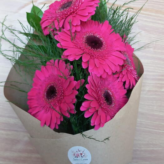 Gerberas Rosadas
