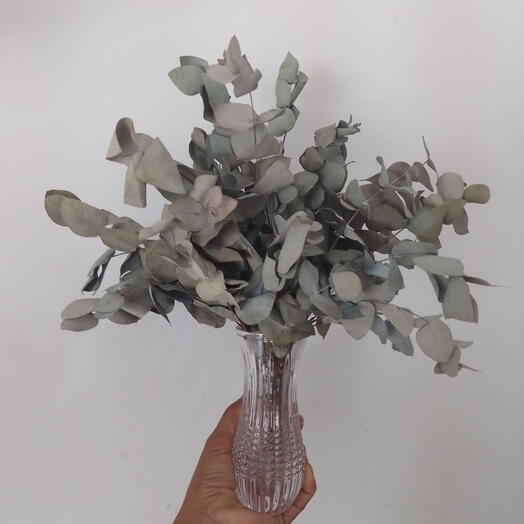 Arranjo de Eucalipto Desidratado