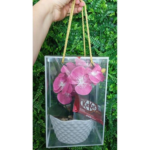 Sacola de Orquidea Artificial com Kit Kat