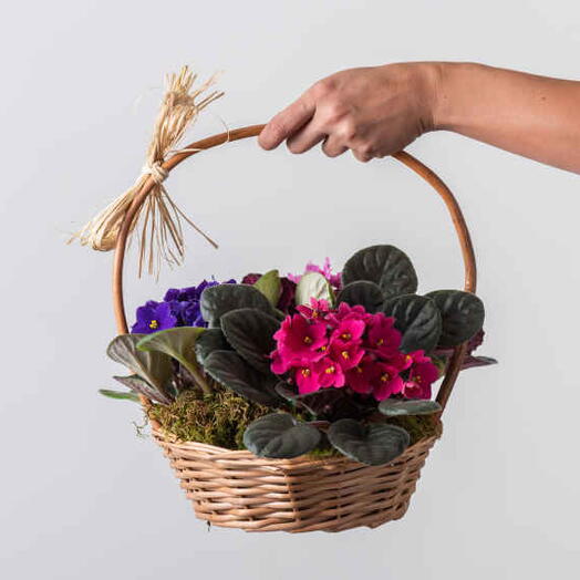 Cesta com Flores