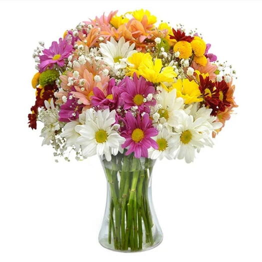 Arranjo Primavera Perfeita