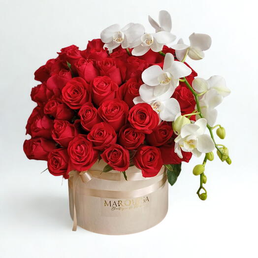 Amor Orquideas- 50 rosas no box