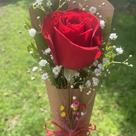 Rosa Para Presente Kraft