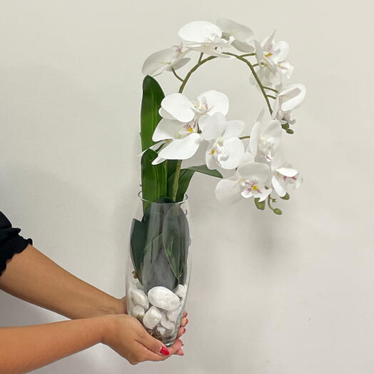 Elegância Silenciosa