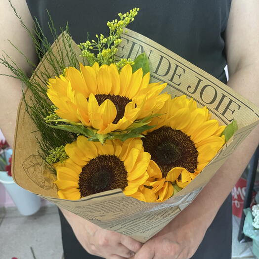 Trio de Girassois 🌻