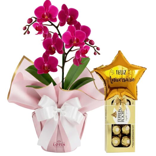Orquidea Mimo e Balão Com Chocolate (Roxa)