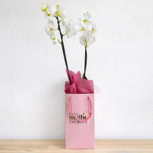 Orquidea Para Uma Mulher Incrivel