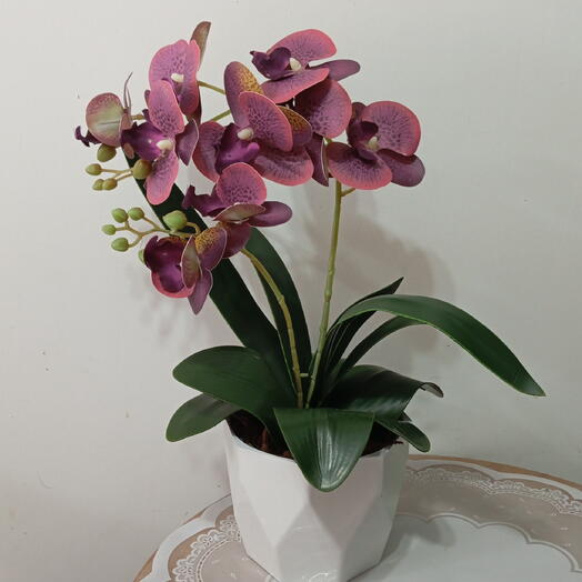 Orquidea Artificial/Permanente