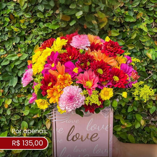 Flores do Campo em Caixa