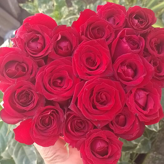 Coração Apaixonado