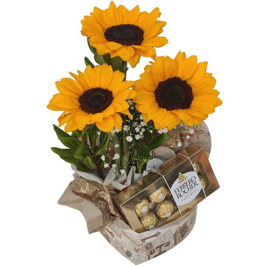 Encanto de Girassol com ferrero