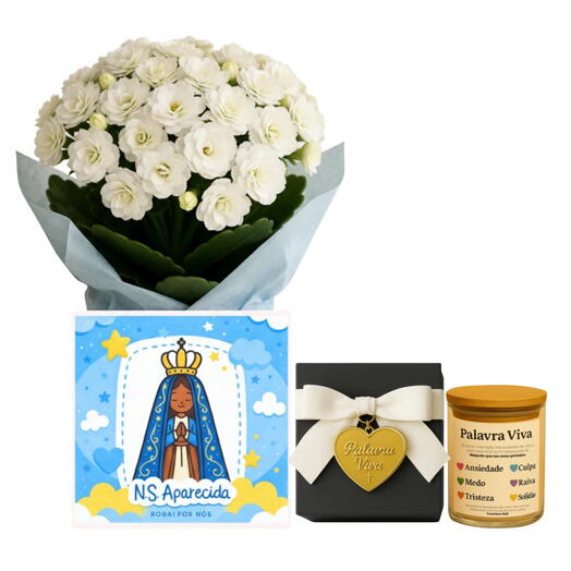 Arranjo De Kalanchoe Branca No Cachepo Da Nossa Senhora De Aparecida + Palavras Vivas