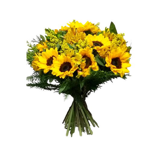 Buque de Girassol Luxo