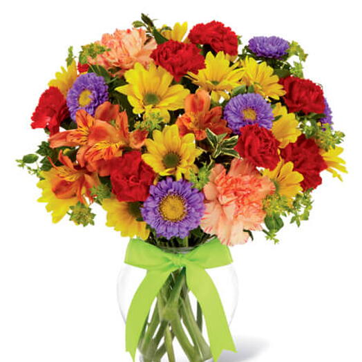 Margarida Cravo e Astromelia Tango