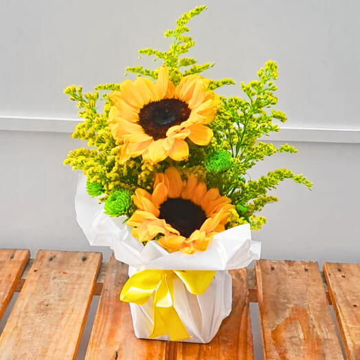 Arranjo com Girassois Naturais no Vaso Branco