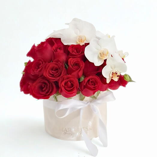 Amor   Orquideas - 25 Rosas