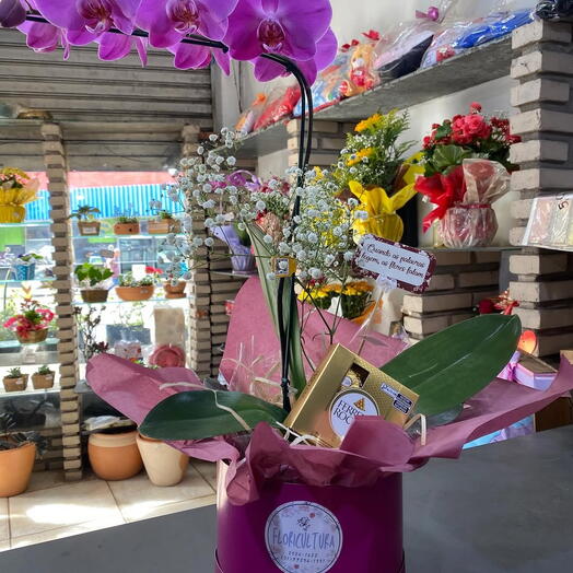 Orquidea Com Chocolates