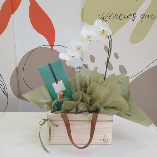 Kit Orquidea e Difusor de Ambiente