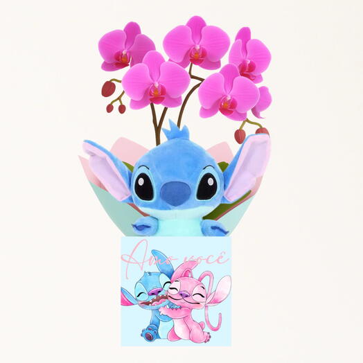 Orquidea Abraço do Stitch