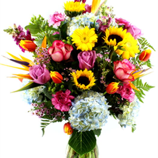 Vaso Girassol Pertencia