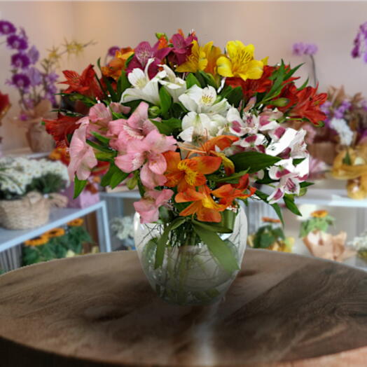 Alstroemerias Coloridas no Vaso Pera Medio