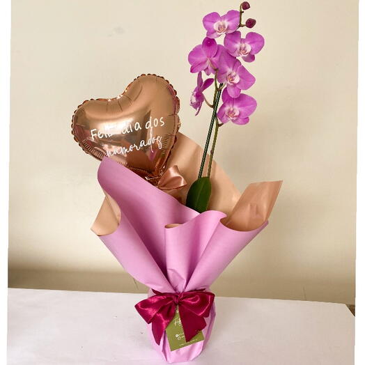 Orquidea Plantado com Balão
