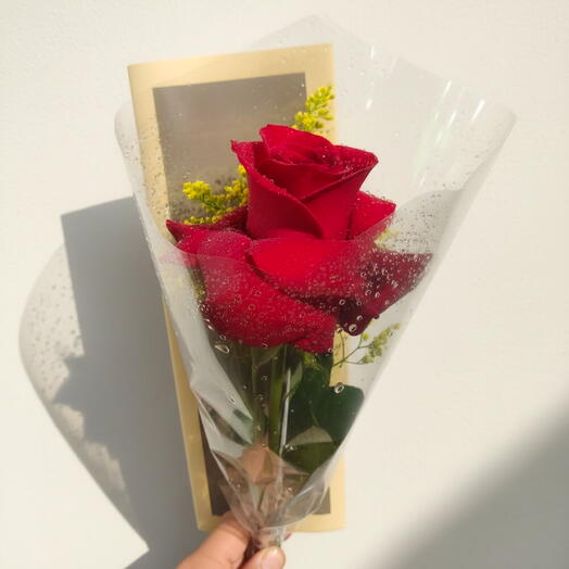 Elegante Rosa Colombiana