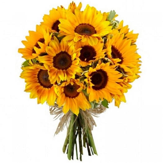 Buquê de Girassois