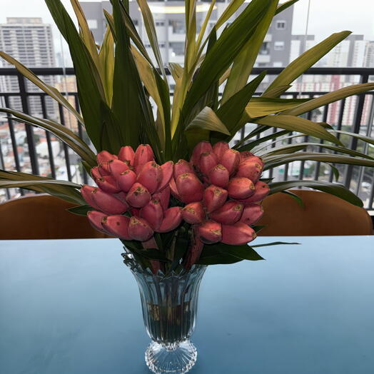 Arranjo Dracena com Banana