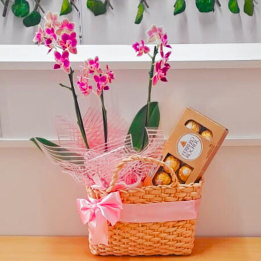 Cesta com mini orquidea Roxa e Ferrero Rocher