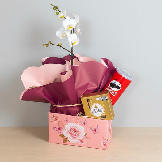 Cesta Chocolate e Orquidea