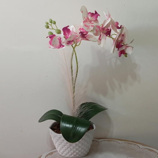 Orquidea Artificial/ Permanente