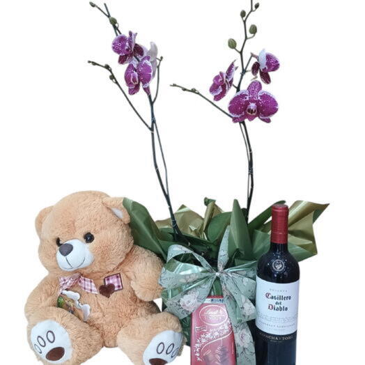 Kit Presente Orquidea Chocolate Vinho e Urso