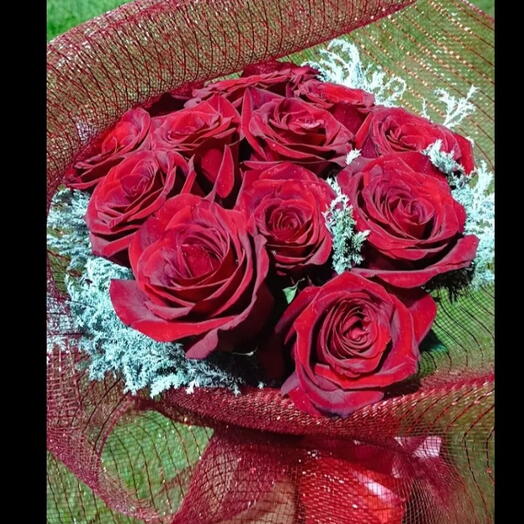 Minha Vida !!!! 🥰