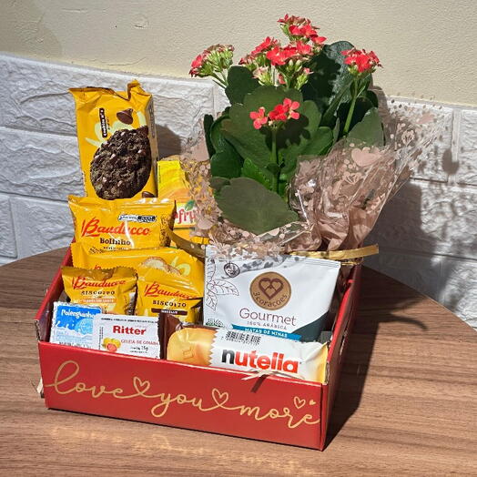 Cesta Cafe   Carinho com Kalonchoe