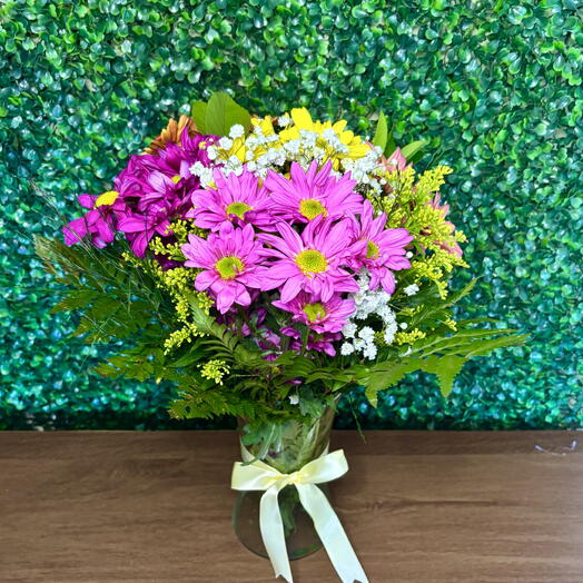 Margaridas Coloridas no Vaso