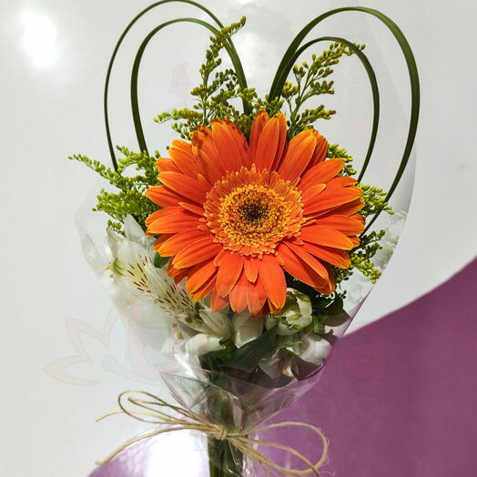 Gerbera Laranja p/ Presente