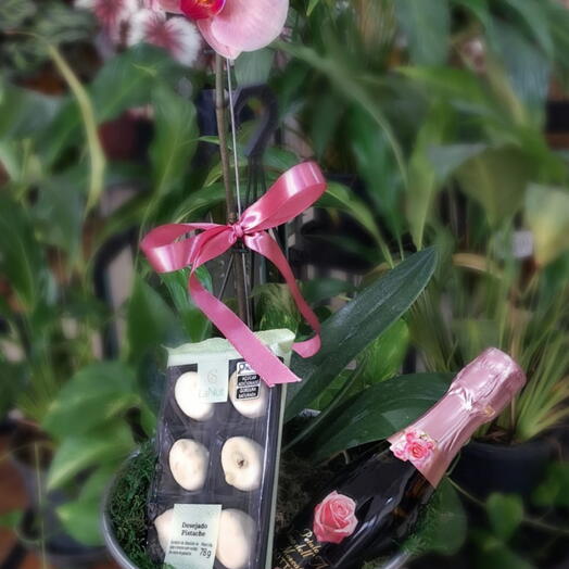 Orquidea no Baldinho com Petit Deli e Espumante