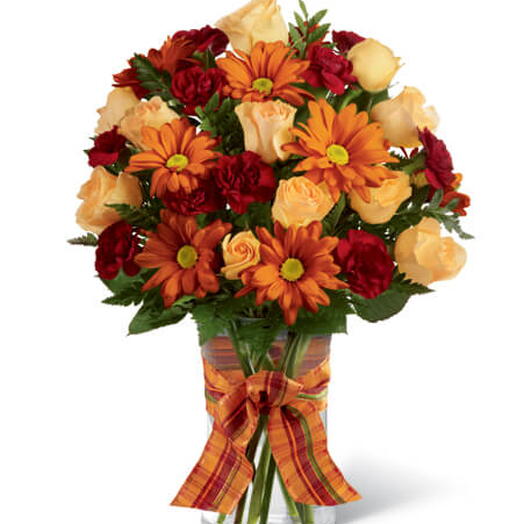 Rosa Cha Margarida Cravo Fita