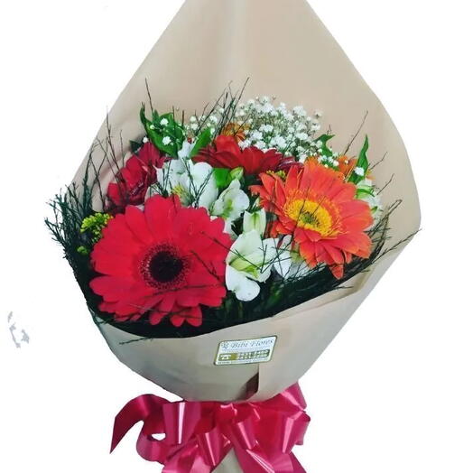 Gerberas MIX