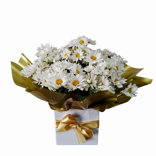 Mini margarida branca