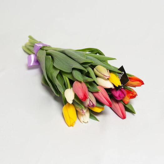 Mix de 15 tulipas