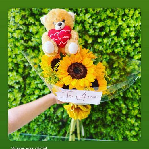 Combo Girassol com Pelucia Carinho, Luz e Aconchego