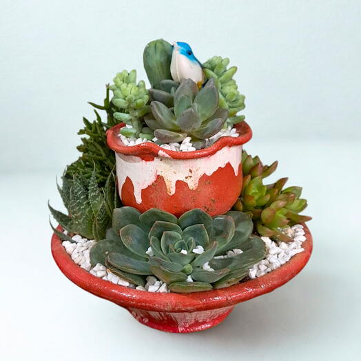 Terrario Meia Lua 2 Andares