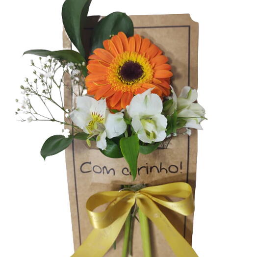 Gerbera para Presente  Colors