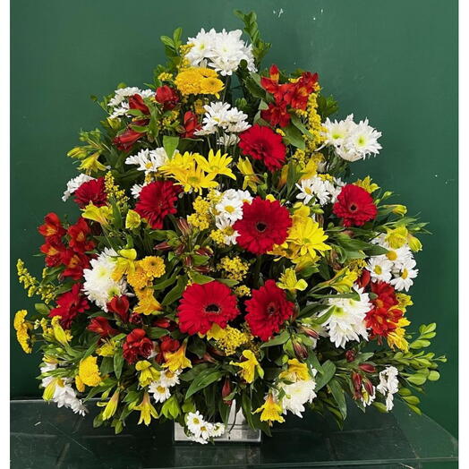 Arranjo Frontal Festival de Cores