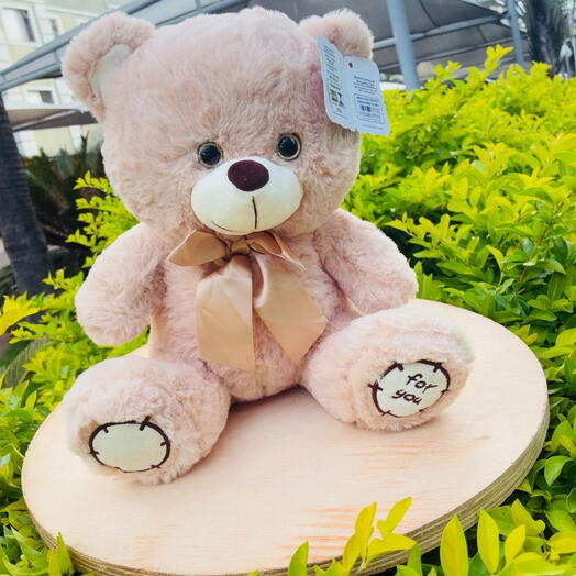 Pelucia Urso For You