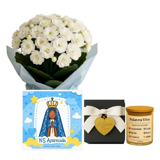 Arranjo Kalanchoe Branca no Cachepo Nossa Senhora de Aparecida + Palavras Vivas